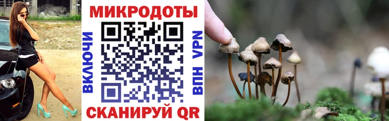 гидра вход  Ковдор  Галлюциногенные грибы ЛСД 